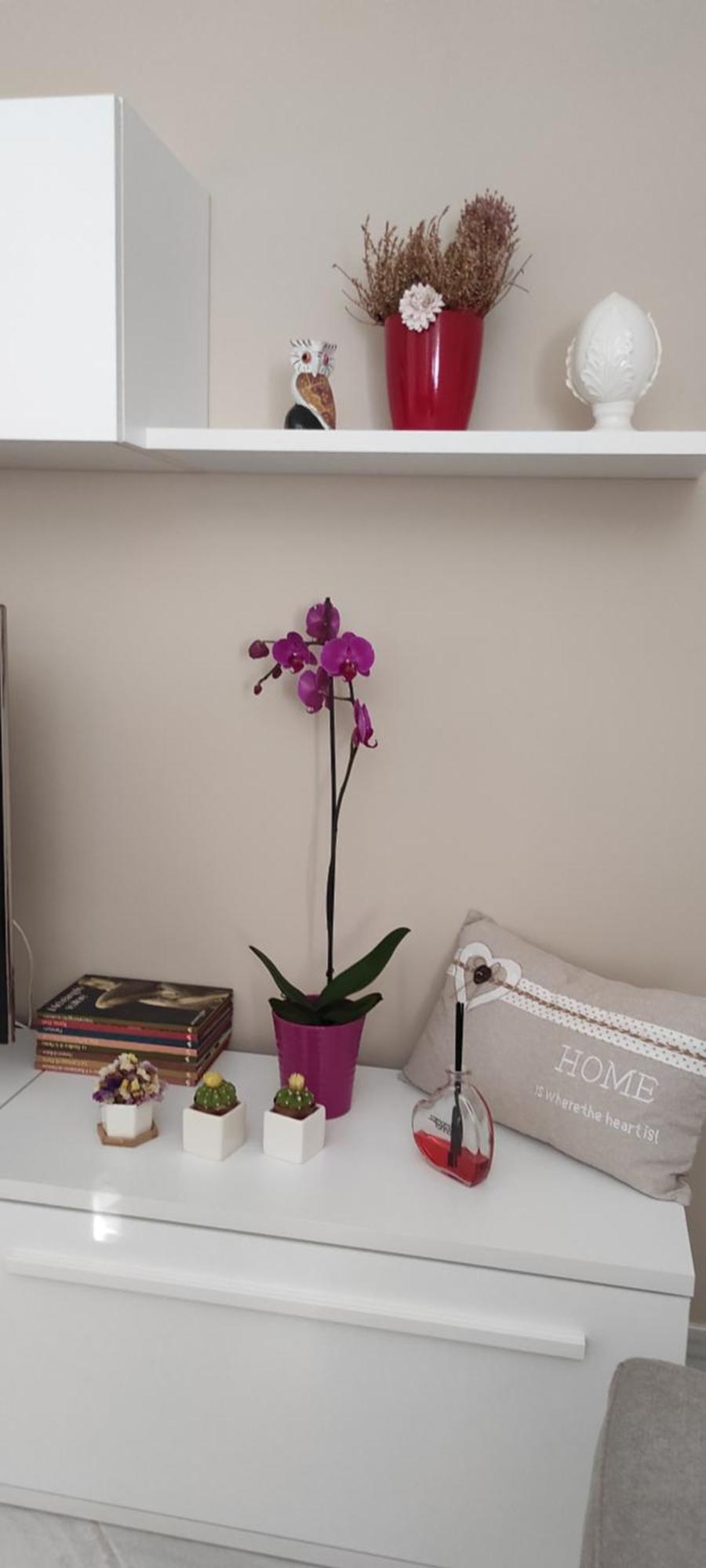A Casa Di Chiara Apartment เลชเช ภายนอก รูปภาพ